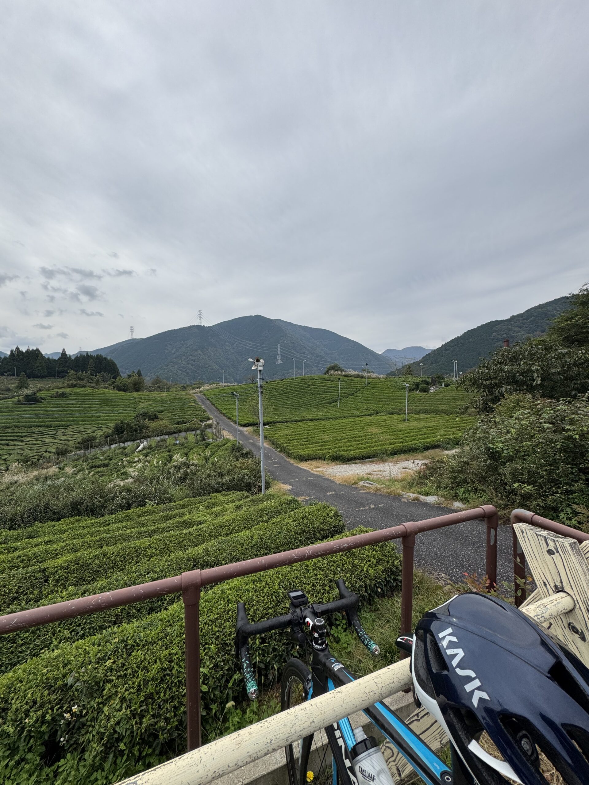 tea plantation and bicycle 2