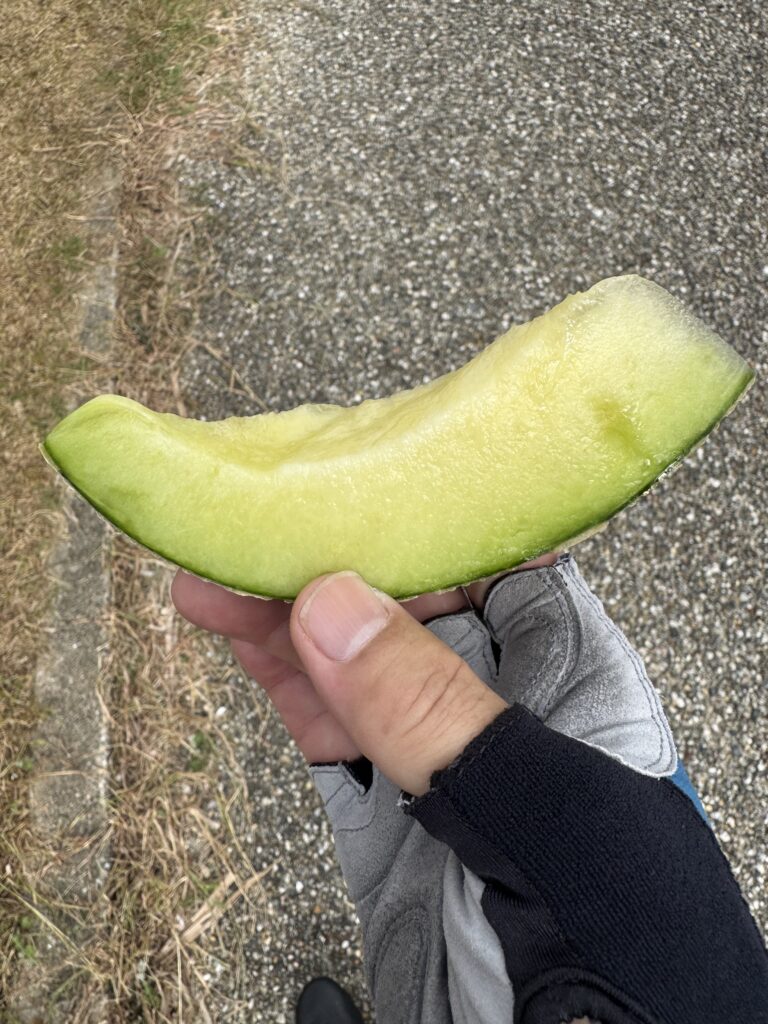cut-Melon